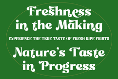 Misago Sweet - Retro Serif Vintage Display Font Product Image 4