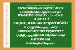 Misago Sweet - Retro Serif Vintage Display Font Product Image 19