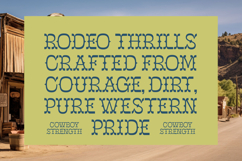 Mister Cloroph - Western Vintage Font Product Image 6
