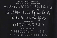 Mistery Product Image 3