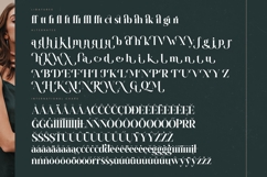 Misthefa Aveline - Modern Alternate Serif Product Image 19