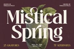 Mistical Spring - Bold Tall Serif Display Font Product Image 1