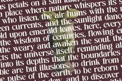 Mistical Spring - Bold Tall Serif Display Font Product Image 9