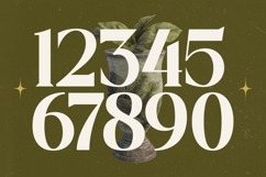 Mistical Spring - Bold Tall Serif Display Font Product Image 12