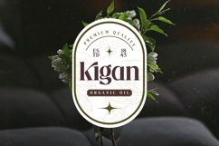 Mistical Spring - Bold Tall Serif Display Font Product Image 17