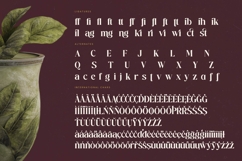 Mistical Spring - Bold Tall Serif Display Font Product Image 19