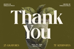 Mistical Spring - Bold Tall Serif Display Font Product Image 20