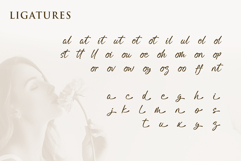 Mistolla - a Modern Signature Font Product Image 5