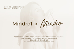 Mistolla - a Modern Signature Font Product Image 6
