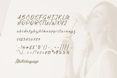 Mistolla - a Modern Signature Font Product Image 7