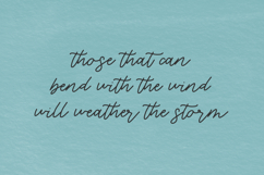 Mistral Script Font Product Image 4