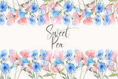 Sweet Pea Floral - Watercolor Floral Clipart Product Image 1