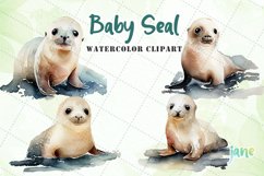 Baby Seal Watercolor Sublimation Clipart Product Image 1