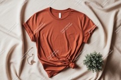 Terracotta t shirt mockup with necklace and plant orange Product Image 1