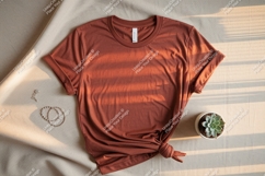 Terracotta tee with jewelry and plant shirt mockup Product Image 1