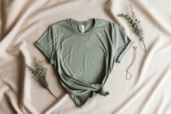 Sage green t shirt with eucalyptus mockup Product Image 1