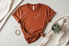 Terracotta tee with plant and jewelry shirt t-shirt Product Image 1