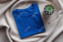 Blue t shirt succulent necklace plant Product Image 1