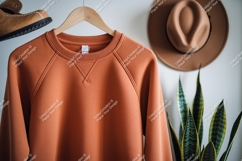 Orange sweatshirt hanging with hat and plant raglan Product Image 1
