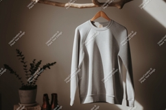Light gray sweatshirt hanging on branch clothing garment Product Image 1