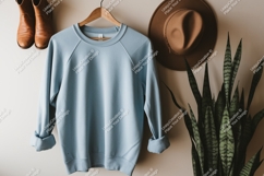 Light blue sweatshirt brown hat brown boots snake plant Product Image 1