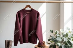Maroon sweatshirt hanging on rack raglan sleeve Product Image 1