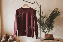 Maroon sweatshirt hanging on rack raglan sleeves Product Image 1