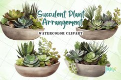 Succulent Plant Arrangement Watercolor Sublimation Clipart Product Image 1