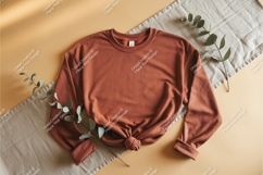 Brown sweatshirt with eucalyptus mockup Product Image 1