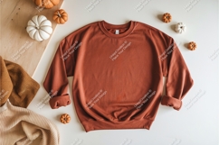 Brown sweatshirt with pumpkins mockup Product Image 1