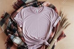 Pink shirt with wheat and blanket mockup Product Image 1
