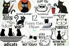 Funny Cats Clipart Sublimation Product Image 1