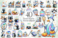 Pastel Witchy Goose Clipart Sublimation Product Image 1