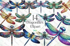 Dragonflies Clipart Sublimation Product Image 1