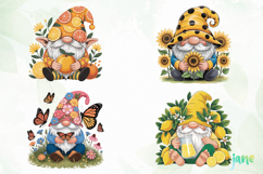 Cute Gnome In Summer Clipart Product Image 1