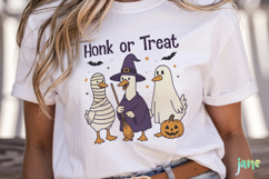 Halloween Silly Goose Sublimation Product Image 2