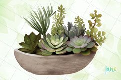 Succulent Plant Arrangement Watercolor Sublimation Clipart Product Image 2
