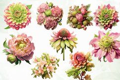 Pink Plants for Fall Sublimation Clipart Product Image 3