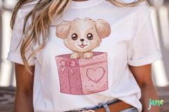 Valentine Animals In Boxes Product Image 5