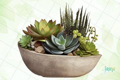Succulent Plant Arrangement Watercolor Sublimation Clipart Product Image 3