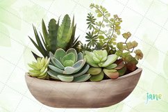 Succulent Plant Arrangement Watercolor Sublimation Clipart Product Image 4