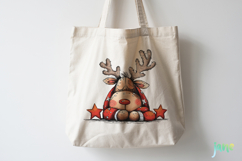 Quirky Funny Christmas Reindeer Clipart Product Image 4