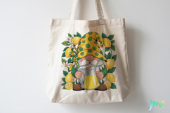 Cute Gnome In Summer Clipart Product Image 3