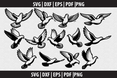 Dove Bird SVG Silhouette design Product Image 1