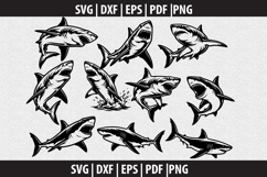 Great white Shark SVG Silhouette design Product Image 1