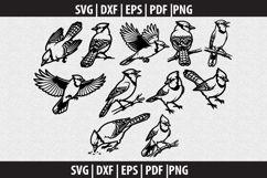 Blue jay Bird SVG Silhouette design Product Image 1