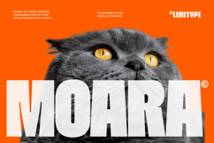 Moara - Bold Condensed Font Product Image 1