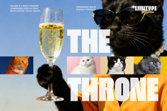 Moara - Bold Condensed Font Product Image 2