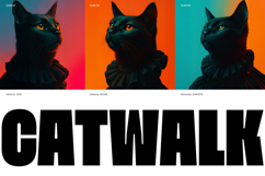 Moara - Bold Condensed Font Product Image 4