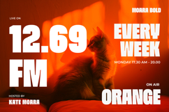 Moara - Bold Condensed Font Product Image 5